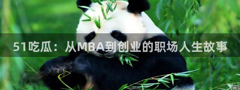 51吃瓜：从MBA到创业的职场人生故事